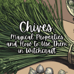 Chives: Magical Properties and How to Use Them in Witchcraft