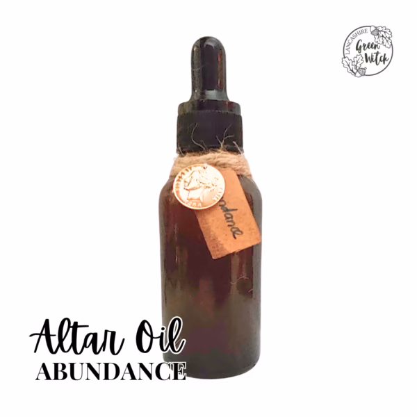 Abundance Oil with coins charm, cinnamon, ginger, and allspice in a 30ml amber dropper bottle